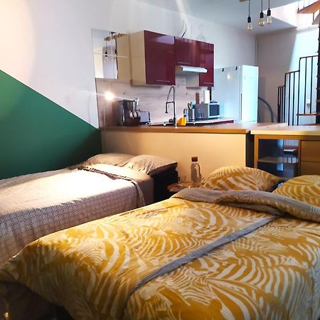 Spacieux Appartement Au Calme 15Min Sud De Lyon Proche Metro Et Gare Confluence Aquarium Gerland Oullins Luaran gambar